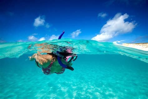 Snorkeler - Salt Cay, Turks and Caicos | Snorkeling, Turks and caicos islands, Turks and caicos