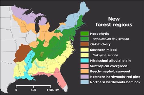 Eastern Deciduous Forest (U.S. National Park Service)