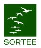 SORTEE code club