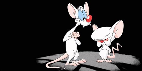 Pinky and the Brain, Animaniacs Producer Gordon Bressack Passes Away at 68