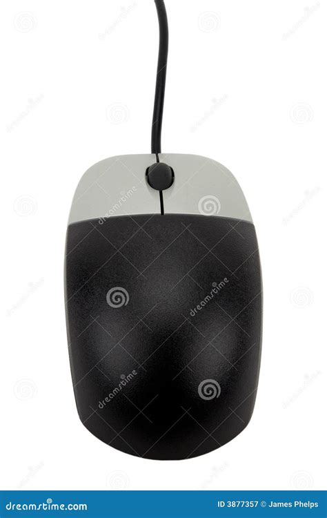 Computer Mouse With Scroll Wheel Royalty Free Stock Photography - Image: 3877357