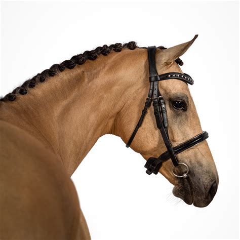 Dressage Bridles | Quality Equestrian Gear | Flexible Fit Equestrian LLC