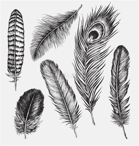 Related image | Feather drawing, Feather art, Peacock feather art