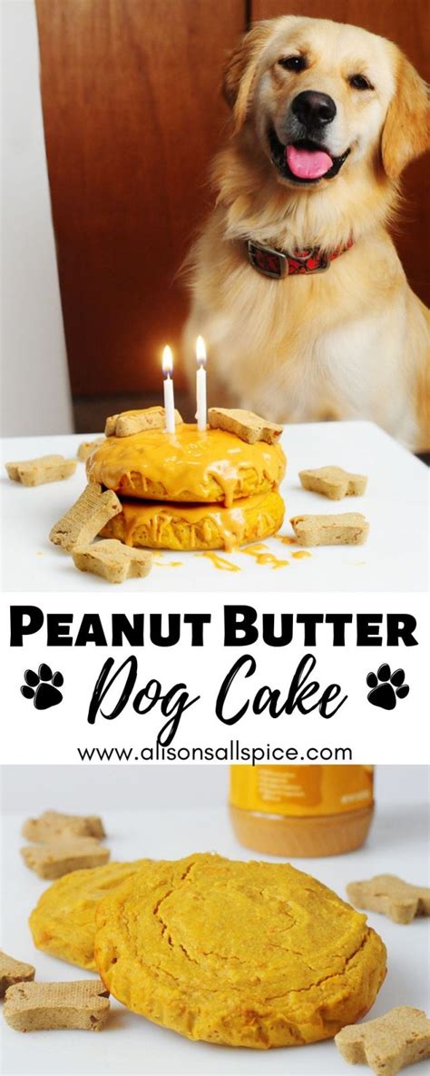 Peanut Butter Dog Cake - Alison's Allspice