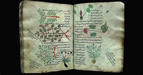 Major Works on Herbal Medicine from a Thousand Years Ago - 1001 Inventions