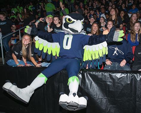 Seahawks Mascot Blitz Coming to Yakima Today (July 10)