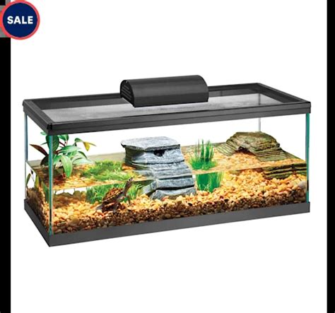 7 Best 15-Gallon Fish Tanks Perfect for Beginning Aquarists