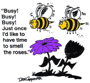 Busy Bee Quotes. QuotesGram