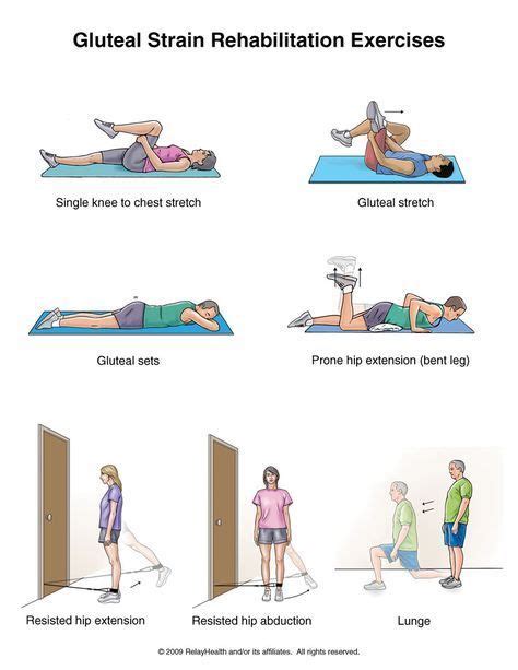 Gluteal Strain Rehabilitation Exercise | Rehabilitation exercises, Exercise, Scoliosis exercises