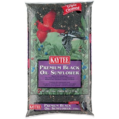 Kaytee 100033658 Black Oil Sunflower Bird Seed, 5 lb - Walmart.com ...