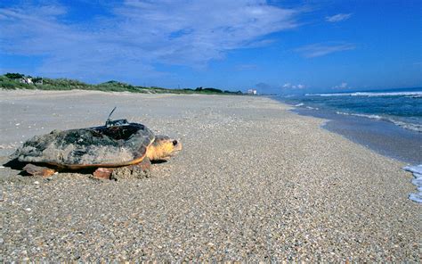 Melbourne Beach / Florida / USA // World Beach Guide