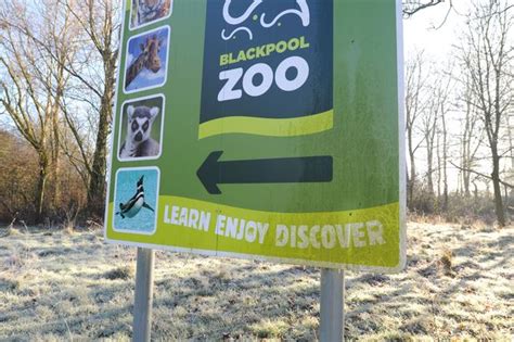 Simple trick to save money on Blackpool Zoo tickets - LancsLive