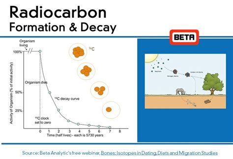 History & Advances in Radiocarbon Dating - Beta Analytic