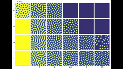 Turing patterns in a reaction-diffusion model - YouTube