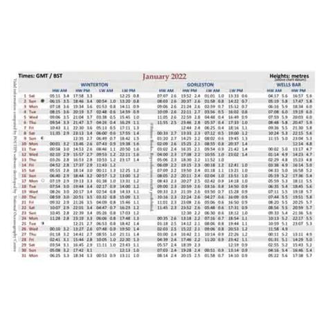 Norfolk Tides 2024 Schedule - Alice Brandice