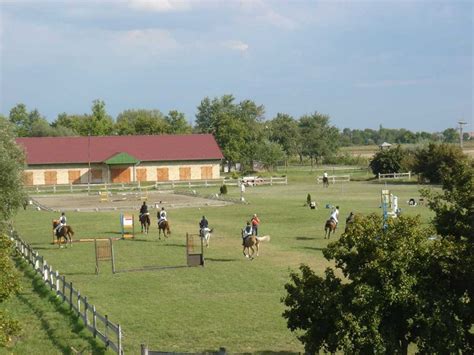 How to Choose a Riding School? - Horse Safety Tips