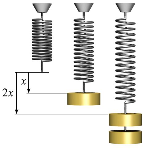 Physics:Hooke's law - HandWiki