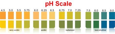 Vitalink Ph Test Chart - Ph scale universal indicator ph color chart ...