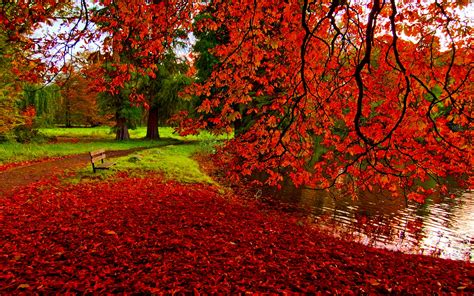 Fall Scenery HD Wallpapers Free Download