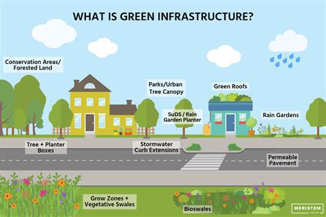 Green Infrastructure: The Key to Urban Resilience | Meristem Design