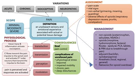 Concept Map: Pain – Nursing Pharmacology