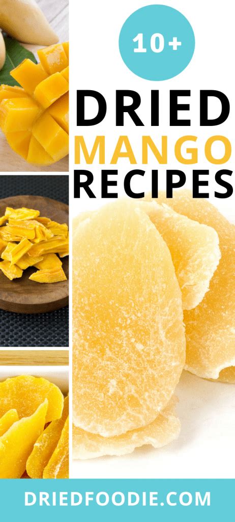 the top 10 dried mango recipes