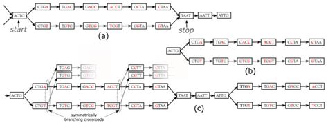 DiscoSnp-RAD: de novo detection of small variants for RAD-Seq population genomics [PeerJ]