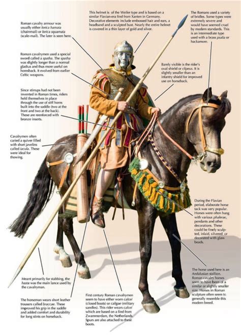 Roman Cavalry - Imperial Romans New Zealand | Roman warriors, Roman history, Roman soldiers