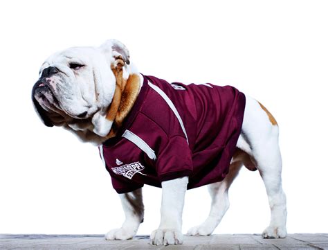 BULLY - Mascots of the Southeastern Conference - ESPN