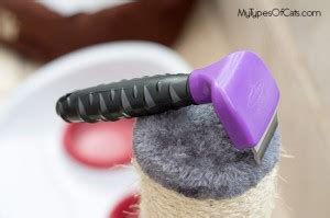 FURminator reviews: Use this cat brush to stop her shedding