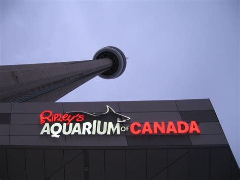 Ripley's Aquarium of Canada - Toronto, ON, Canada - Public Aquariums on ...