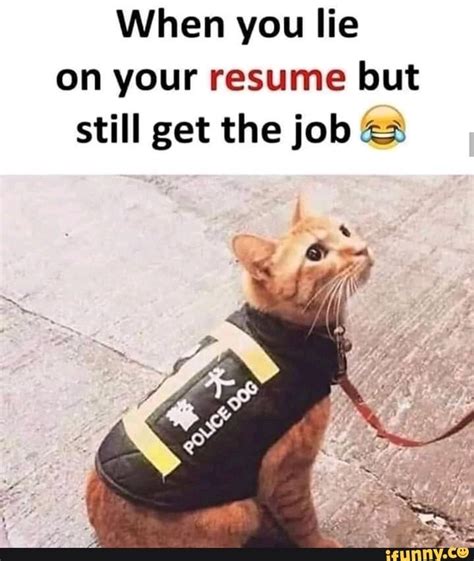 When you lie on your resume but still get the job (res - ) | Funny baby memes, Some funny jokes ...