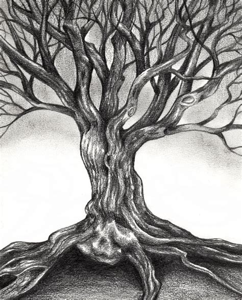 Tree Drawing - Dr. Odd | Pencil drawings of nature, Tree sketches, Tree ...