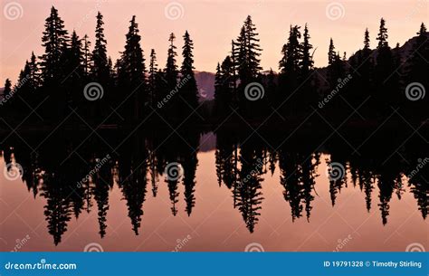 Lake Reflection With Silhouette Of Trees Royalty Free Stock Photos - Image: 19791328