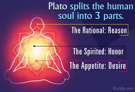 Plato's Tripartite Soul Theory Explained | Spirit science, Free online ...