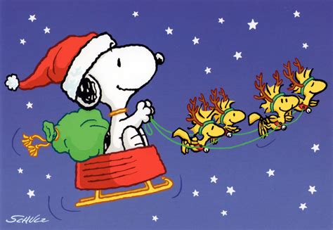 Santa Snoopy in his Dog Bowl Sleigh | Snoopy christmas, Snoopy, Charlie ...