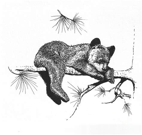 Sleeping Bear Drawing at PaintingValley.com | Explore collection of ...