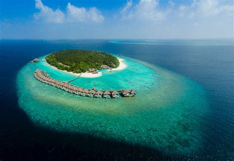 Dusit Thani Maldives Resort (Mudhdhoo) : tarifs 2021 mis à jour, 39 ...