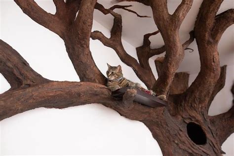 Man Creates Indoor Fake Tree For A Cat, And The Master Approves Of It ...