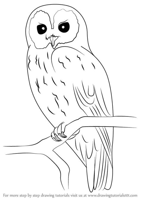 Learn How to Draw a Tawny Owl (Owls) Step by Step : Drawing Tutorials ...