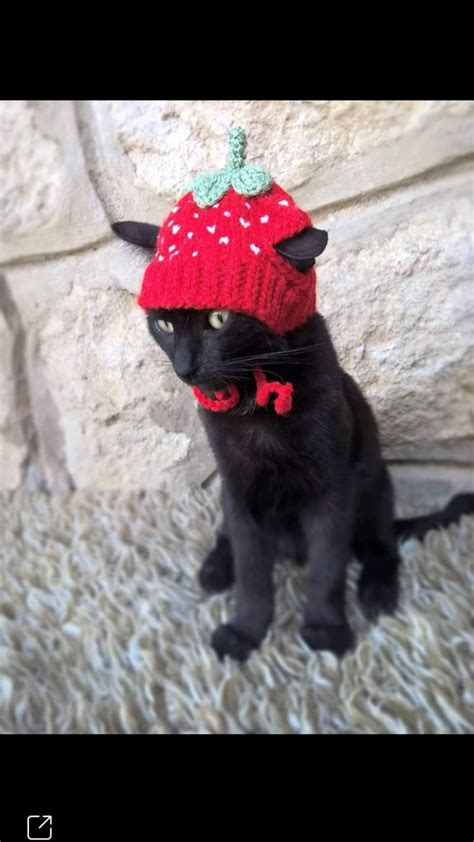 Strawberry crochet hat for cats and depop – Artofit