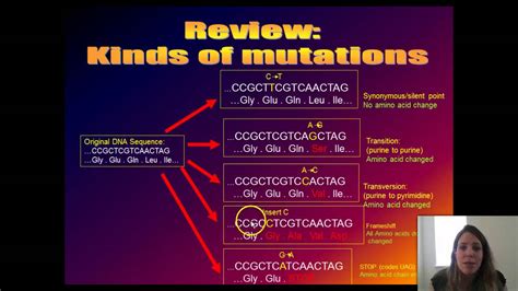 Microevolution! (Part 2 of 2) - YouTube