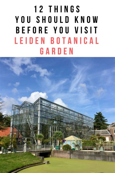 Greenwithpurpose – Visit Leiden Botanical Garden (Netherlands) (photo ...