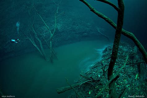 Underwater river in Mexico : pics