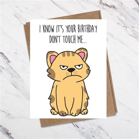 Angry Cat Birthday Card Grumpy Cat Cat Birthday Card | Etsy