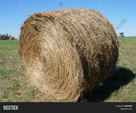 Round Hay Bail Close Image & Photo | Bigstock