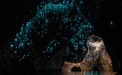 Glow Worm Caves Tamborine Mountain, Gold Coast