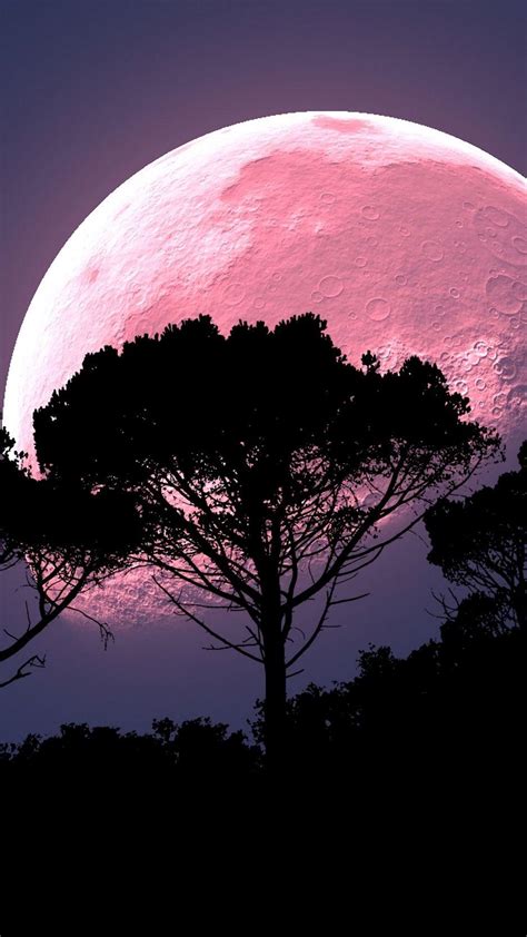 Pink Moon Aesthetic Wallpapers - Top Free Pink Moon Aesthetic ...