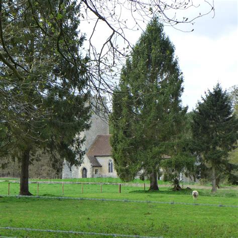 Pictures of All Saints' Church, West Harling, Norfolk - See Around Britain