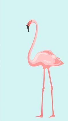 Pink Flamingo. Tap to see more beautiful iPhone Wallpapers! Nature, animals, illustration ...